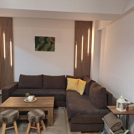 Angel Apartament Nagyszeben Kültér fotó