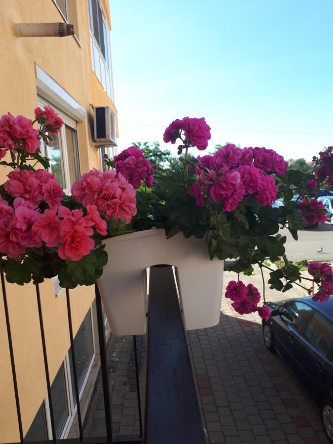 Angel Apartament Nagyszeben Kültér fotó