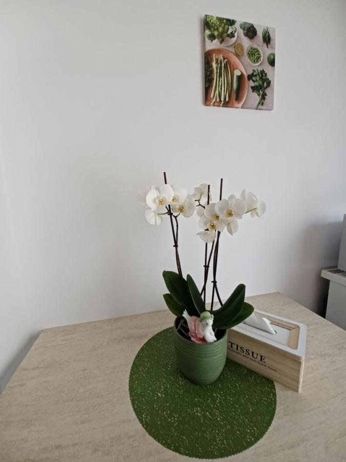 Angel Apartament Nagyszeben Kültér fotó