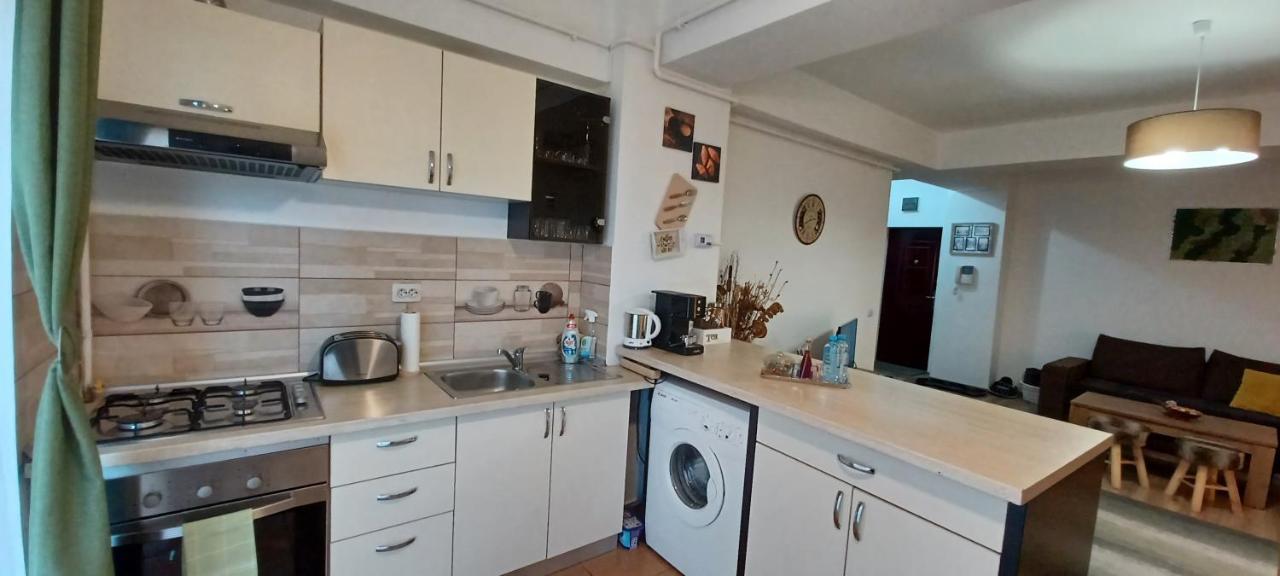 Angel Apartament Nagyszeben Kültér fotó