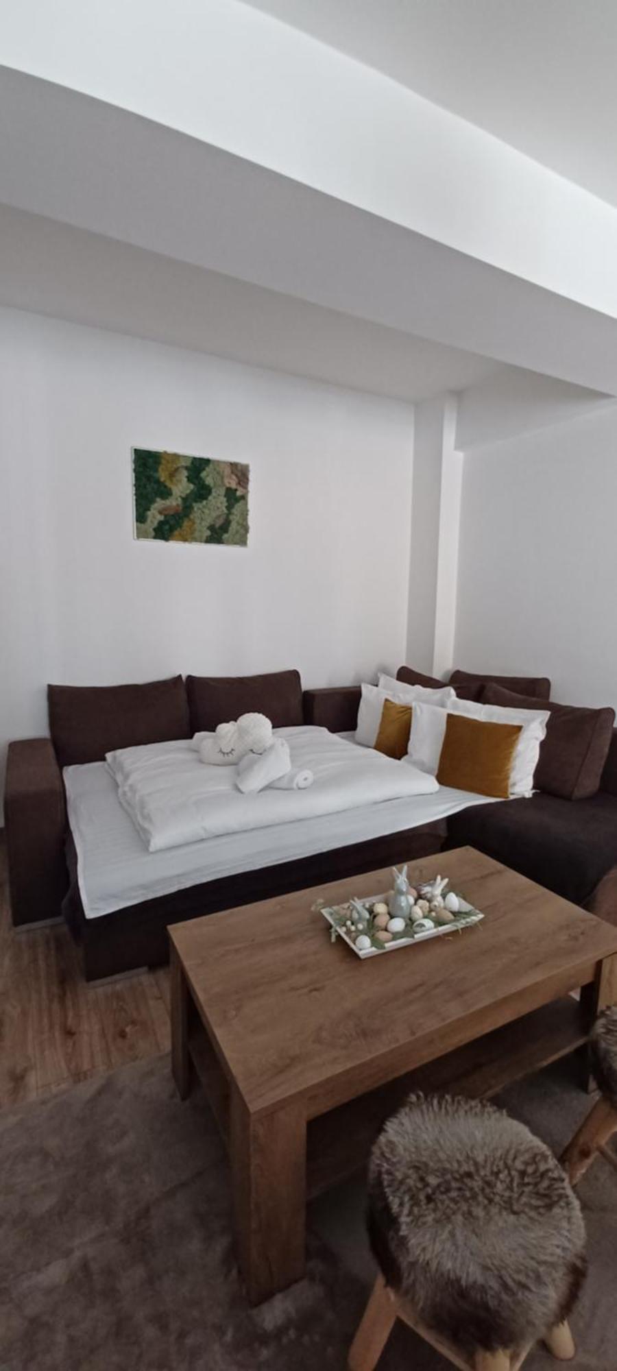 Angel Apartament Nagyszeben Kültér fotó