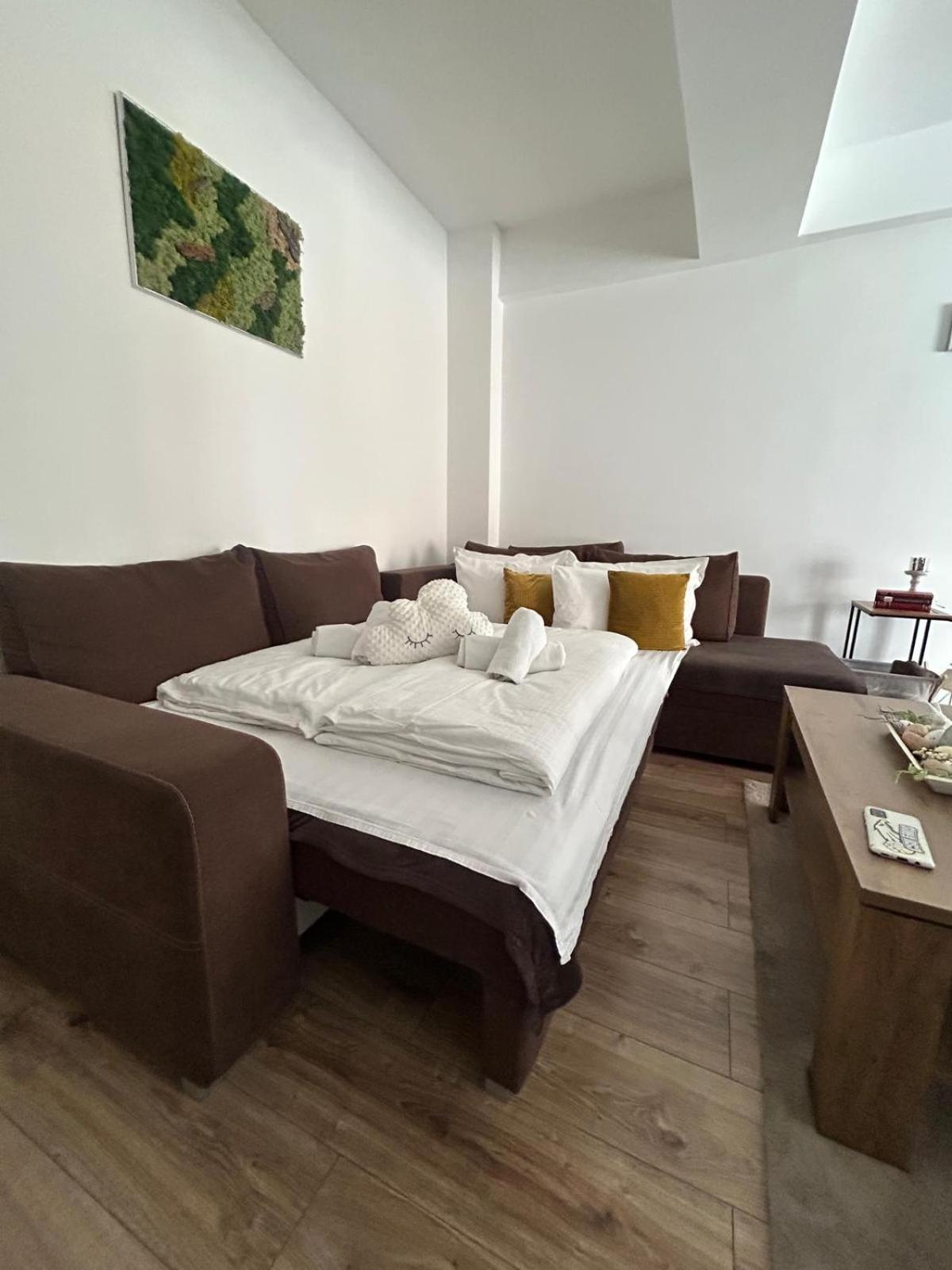 Angel Apartament Nagyszeben Kültér fotó